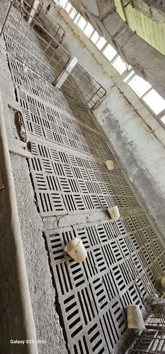 Grătare din fontă pentru pardoseli ferme zootehnice