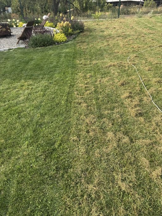 Услуги садовника