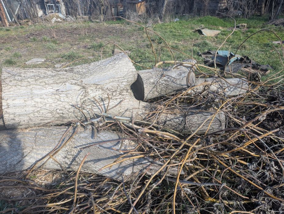 Цял дънер от орех