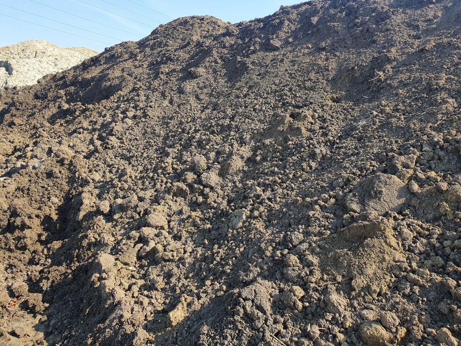 Vand PAPAMANT vegetal Negru, Nisipos pt gazon, Umplutura si Mranita