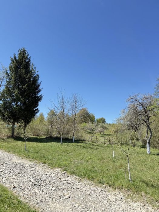 Teren intabulat de vanzare – satul Breb, Maramures