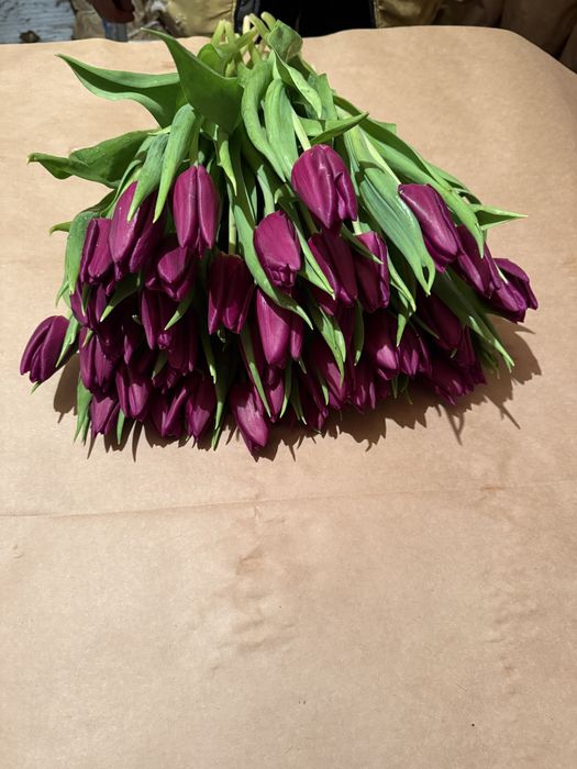 Тюльпаны оптом и в розницу