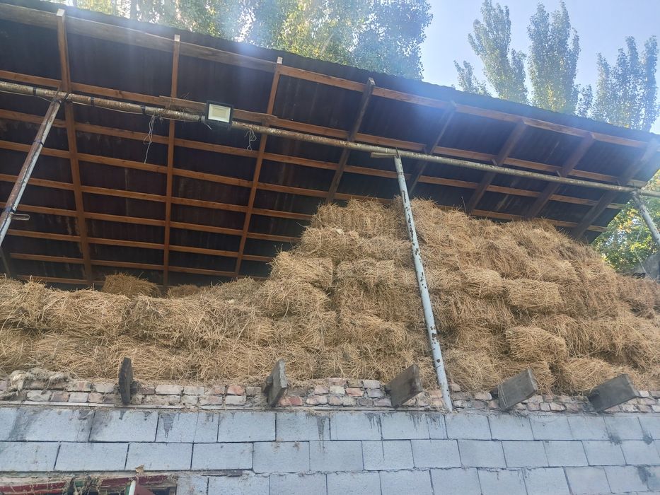 Продам сено люцерна
