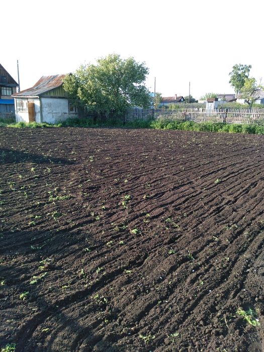 Ухоженый дачный участок