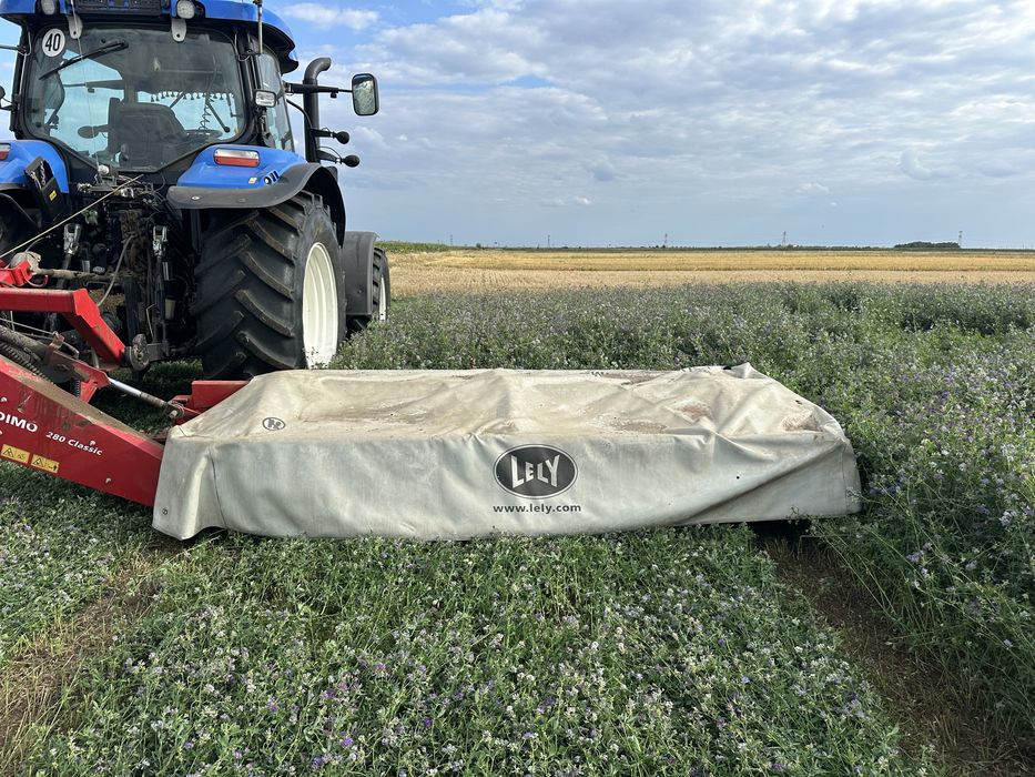 Vand coasa lely splendimo