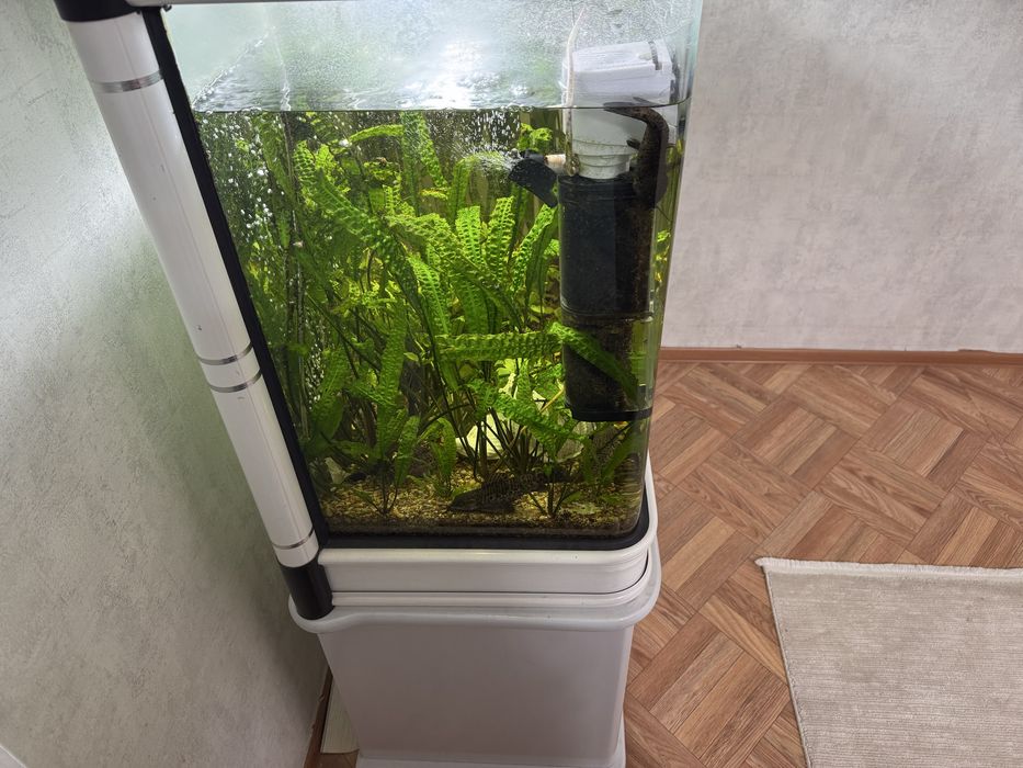 Продам аквариум большой