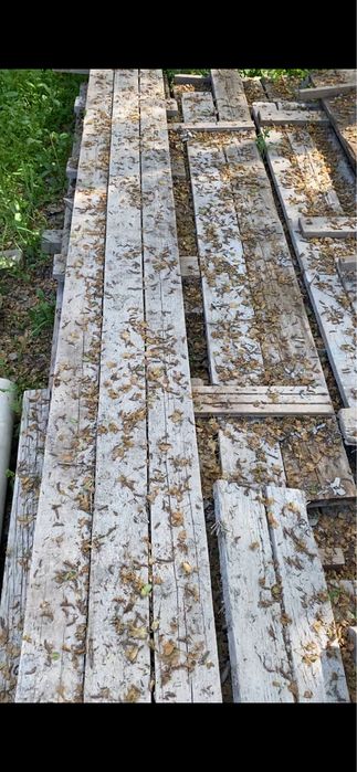 Терак сотилади 10 йиллик