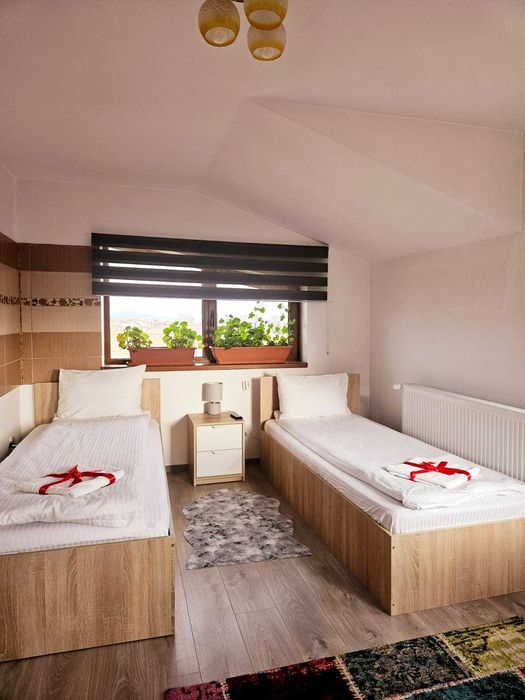 Pensiunea Casa Ana Cluj ofera servicii de cazare