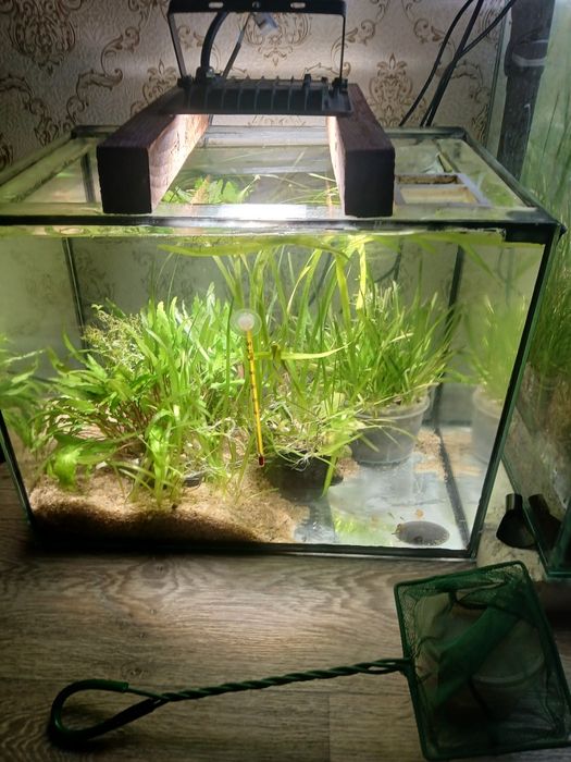 Аквариум 60 л с рыбой в комплекте