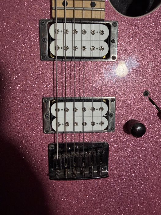 Chitara Electrica Ibanez Rg421 MSP