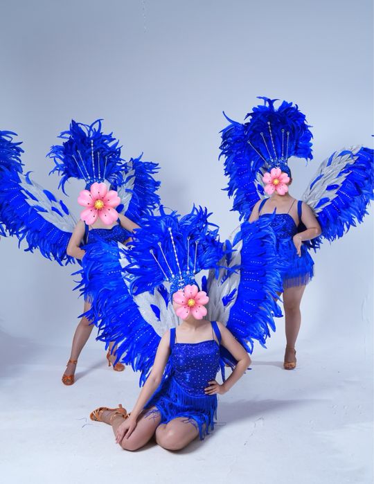 Продается Бразильский костюм