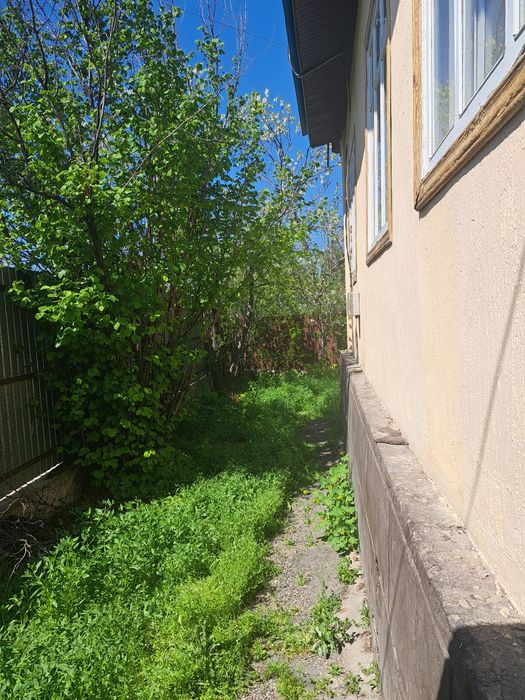 Продам дом в залинии