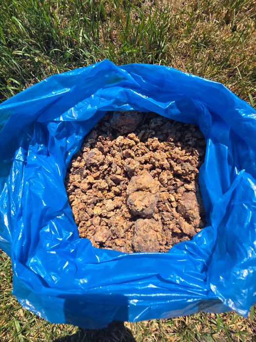 Propolis Albine Brut