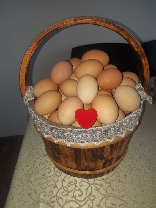 Vand ouă de găină .