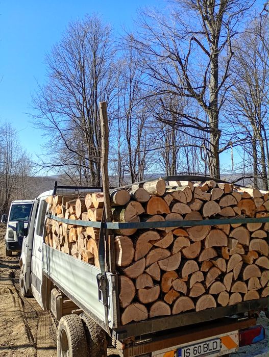 Vand lemne de foc taiate sau  la camion