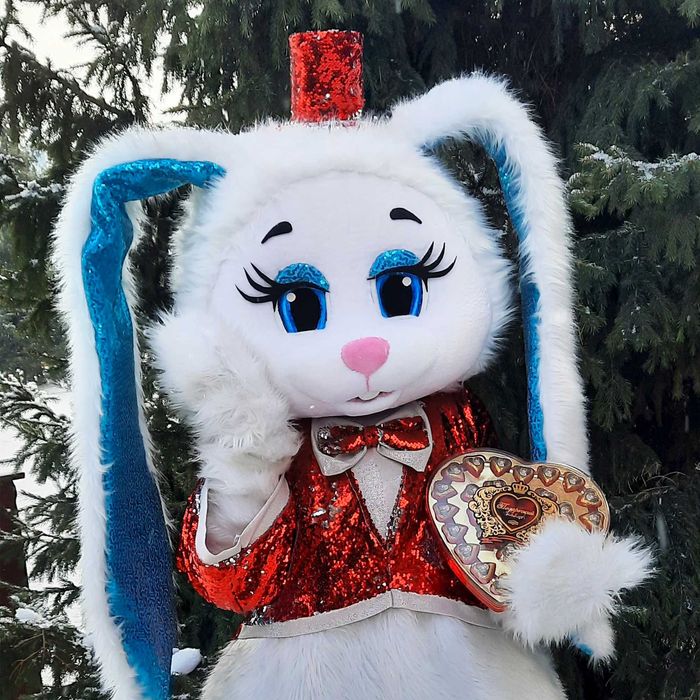 Аниматоры поздравления