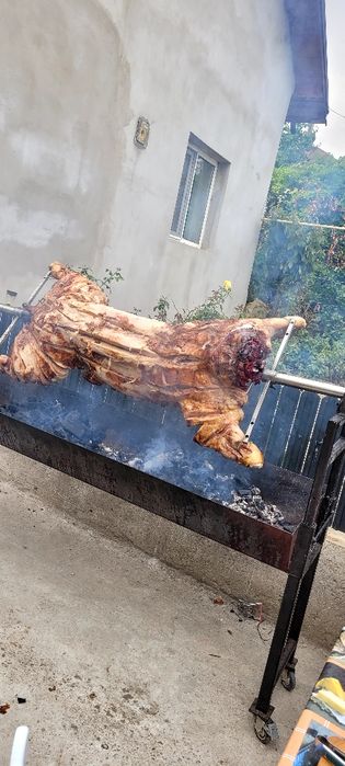 Tudor protap pt evenimentul tău