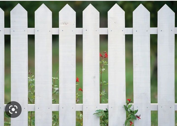 Кучатлар бор ёнгок