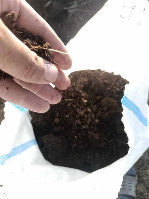 Продаю перегной в мешках