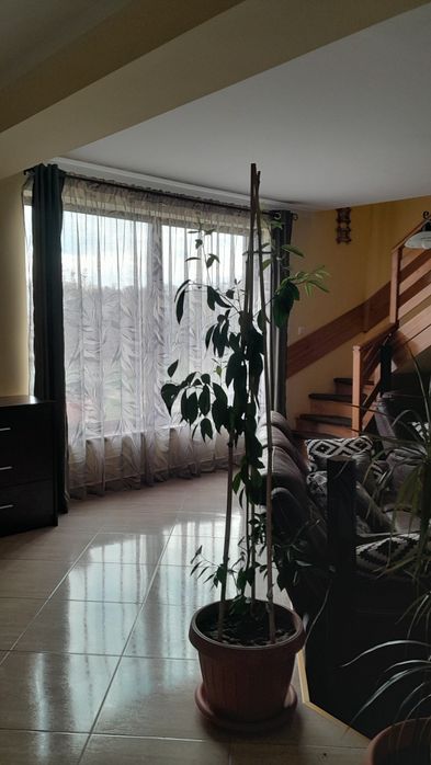 Vila P+M de vanzare Glamboc Deal, lângă Pitești, 180 mp utili, Teren 1066 mp
