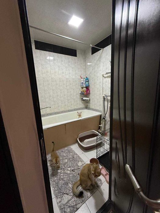 Kvartira sotiladi 4 xonaliy