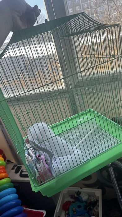 Клетка для попугая