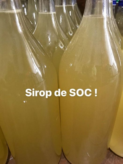 Sirop din flori de SOC