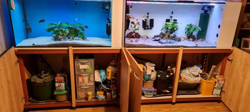 Vand 2 acvarii complet dotate cu standuri cu tot