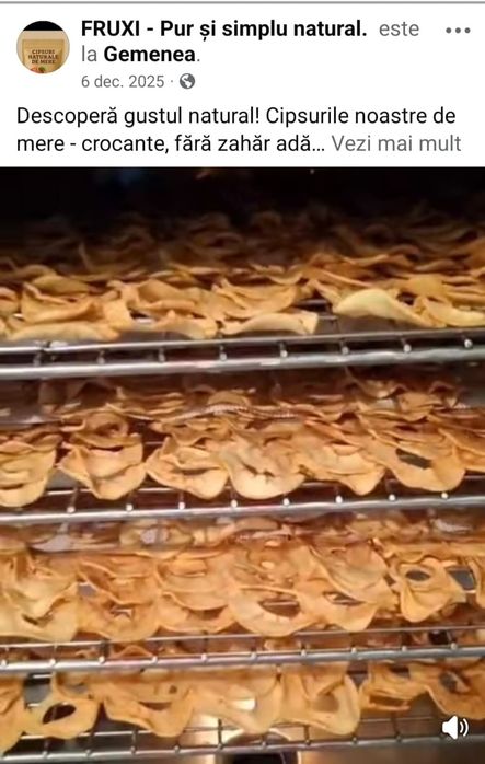 Suc de mere natural și cipsuri de mere