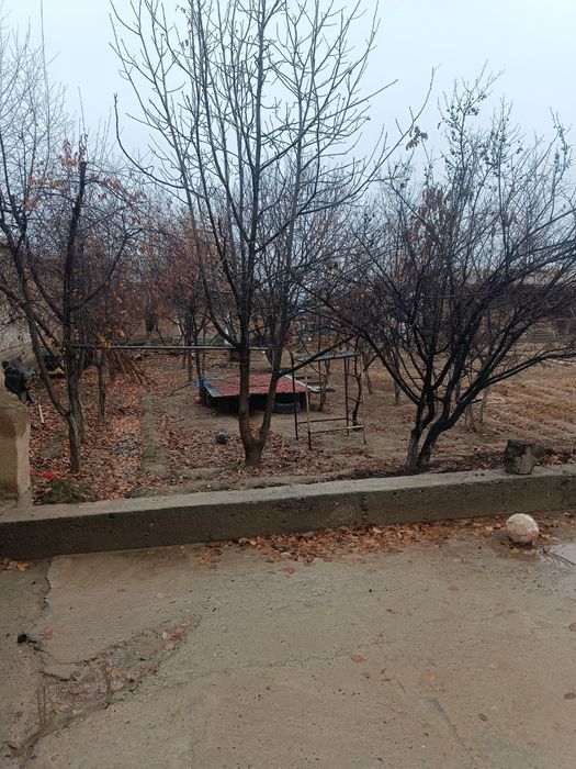 Ховли сотилади холати яхши