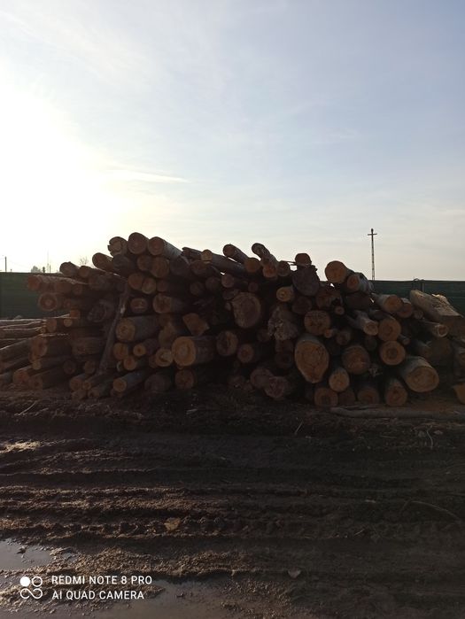 Depozit lemn foc Videle