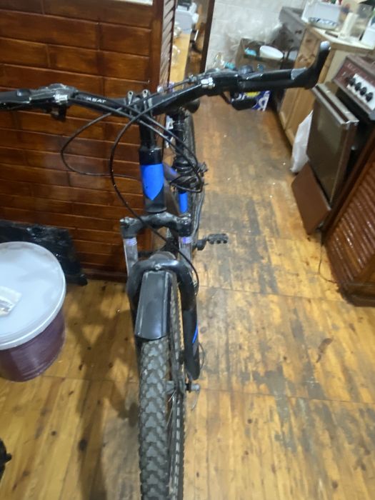 Велик WASAT sport