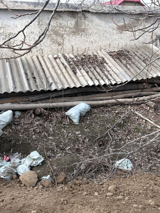 Кук терак бор сотилади