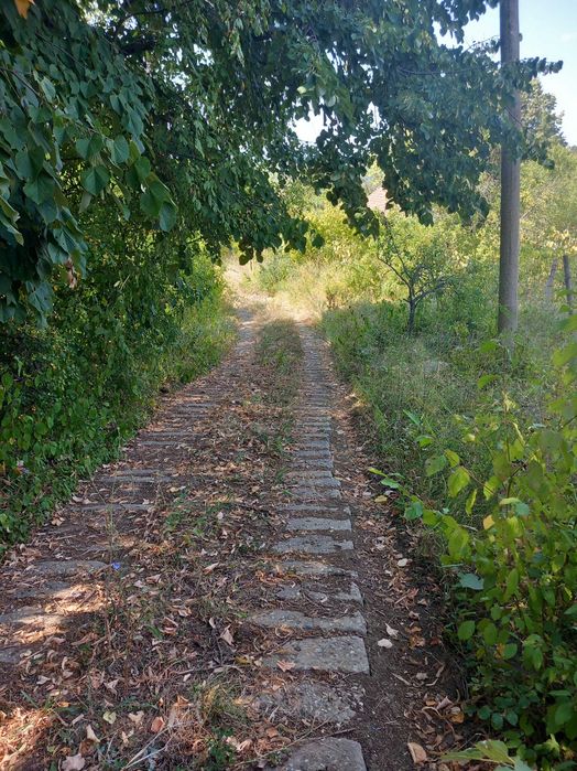 Къща, Вила близо до Враца. Врачански лозя