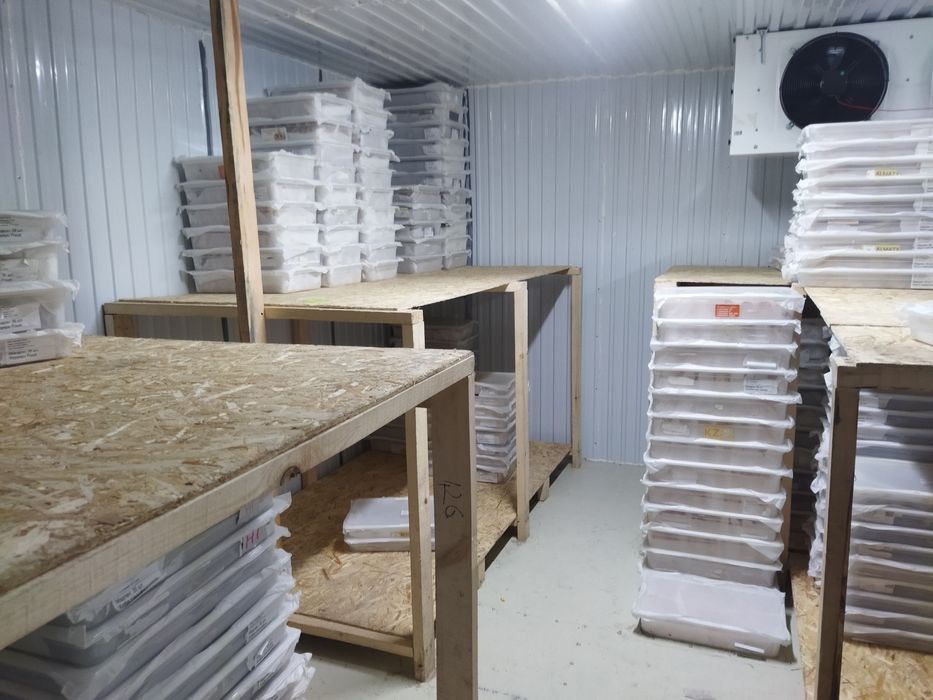 Сдам в аренду камеры морозильные реф контейнеры