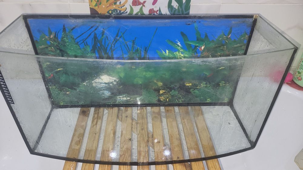 Продам аквариум 80л.