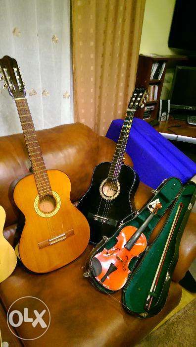 Chitara rece si electrica vioara acordeon