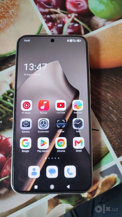 Xiaomi 15 t pro/global