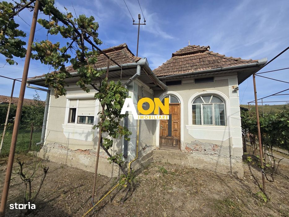 Casa 3 Camere, 1100mp Teren cu Garaj, Gura Ariesului