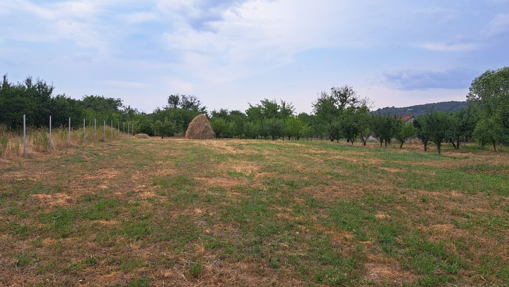 Teren zona de munte 130