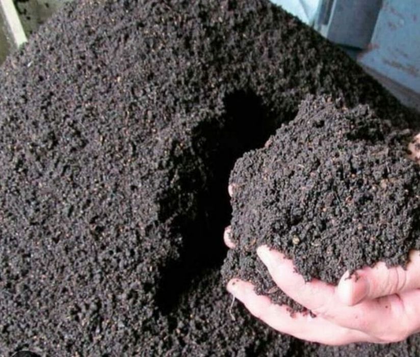 Bio gumus arzon va sifatli