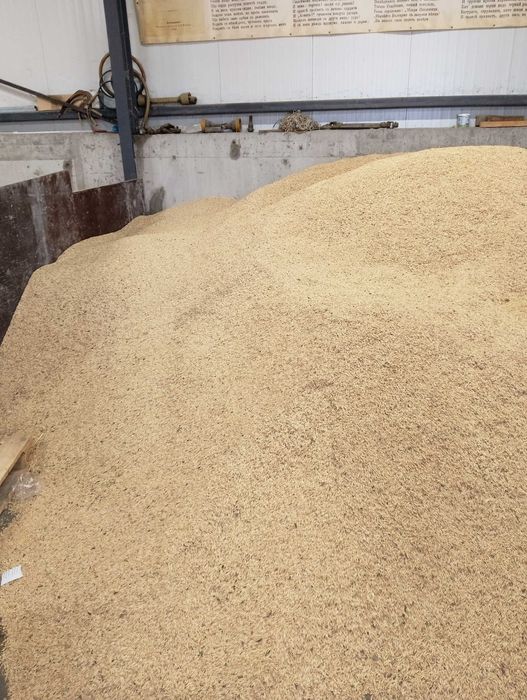 Продавам ОВЕС  реколта2025г. Напълнен в чували  по 30кг.цена 0.40ст/кг