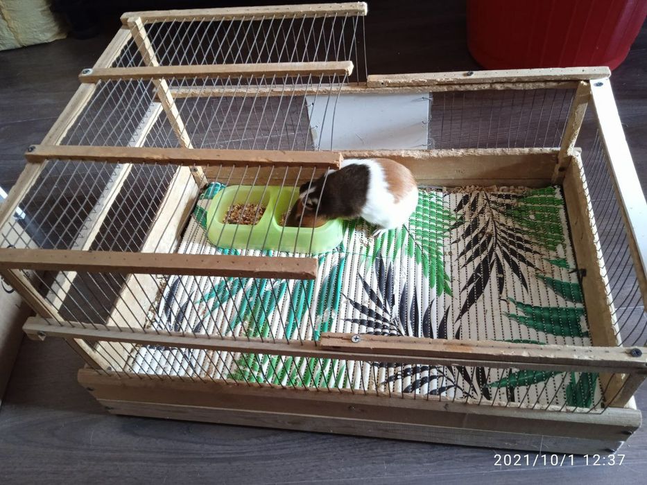 Клетка для морских свинок, кроликов, ежей