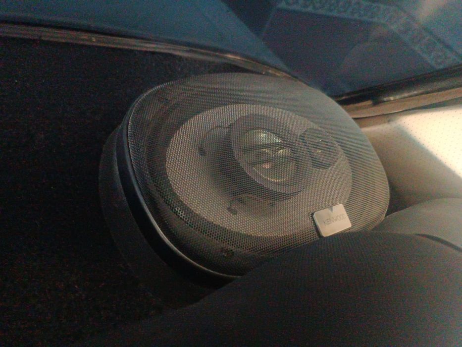 Kalonka oʻselitir boʻchka sotiladi arginal narsa