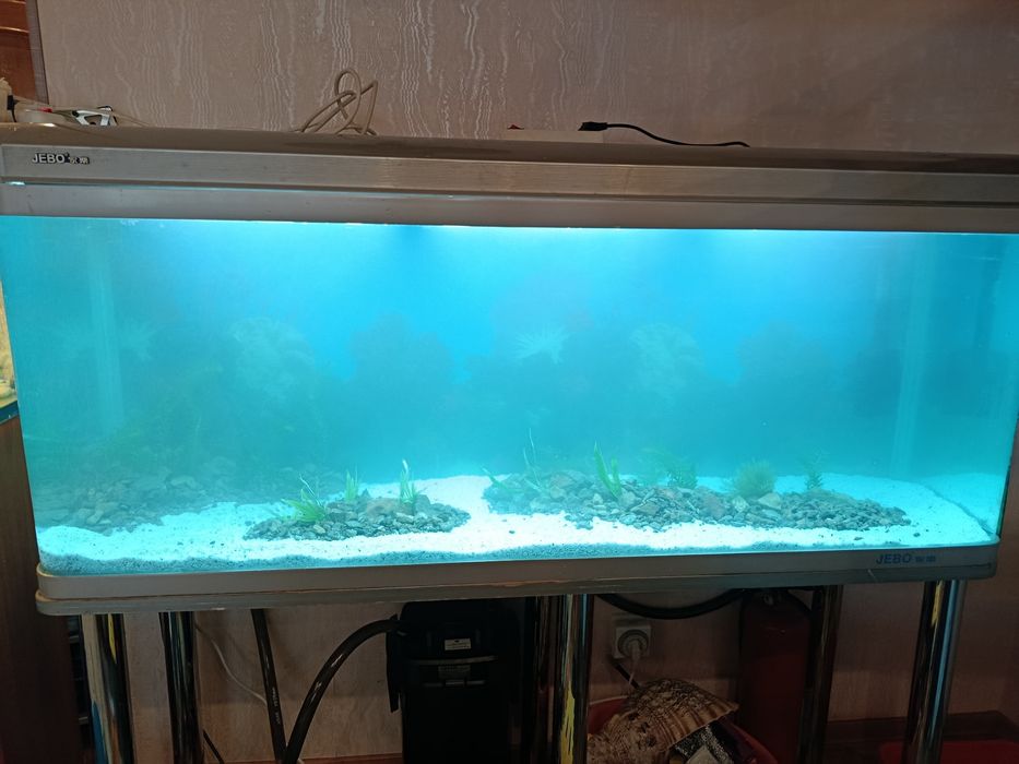 Обслужuвание акварuумов