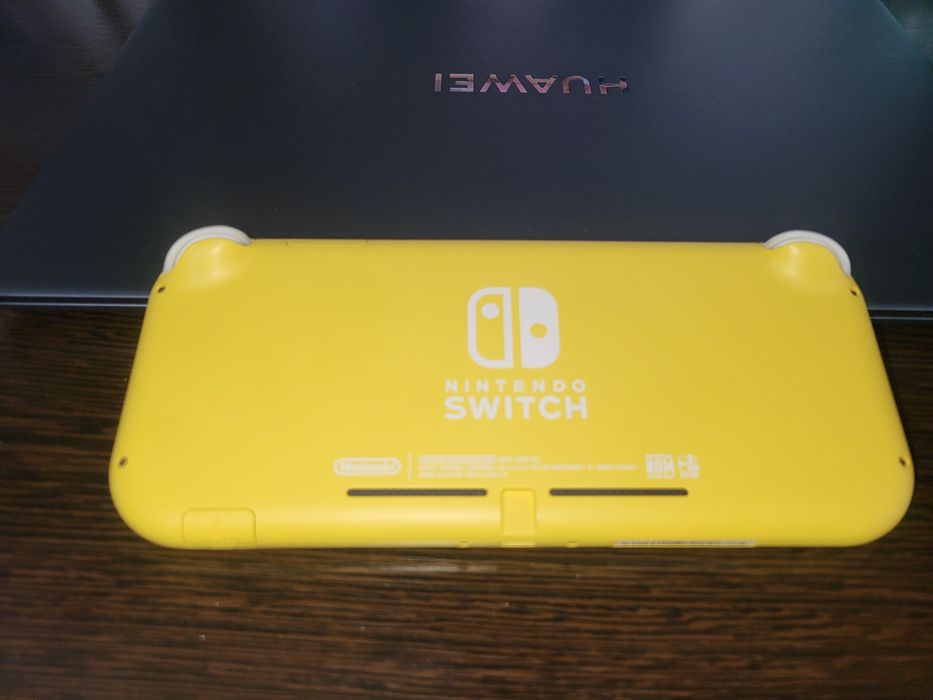 Nintendo switch lite
