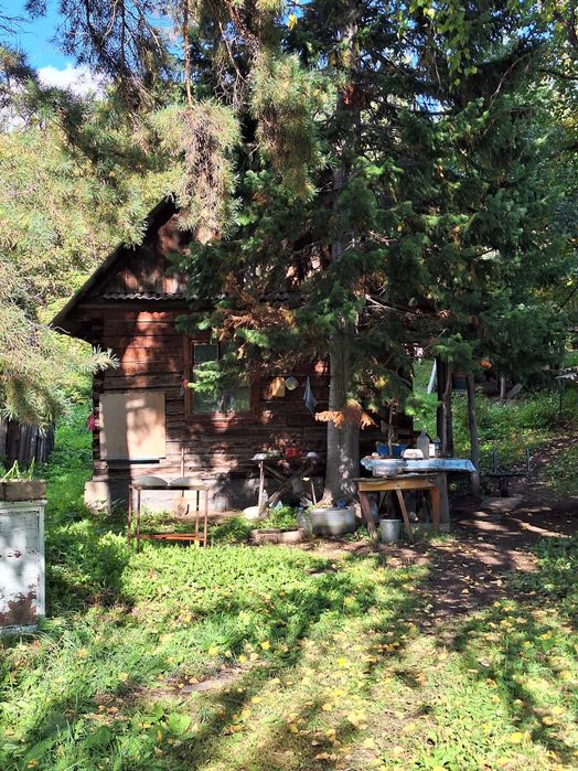 Продам пасеку с Григорьевка.