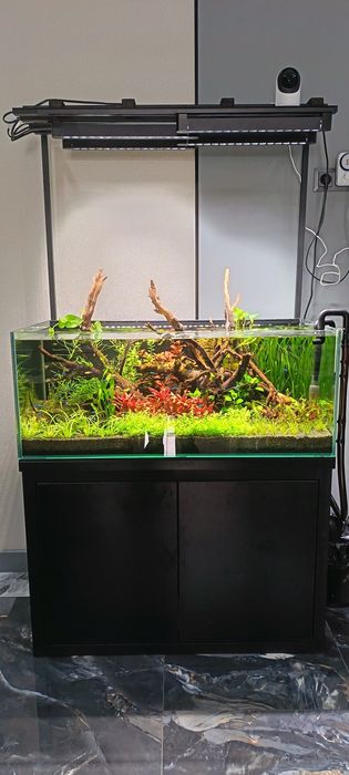 Аквариум 200 литров