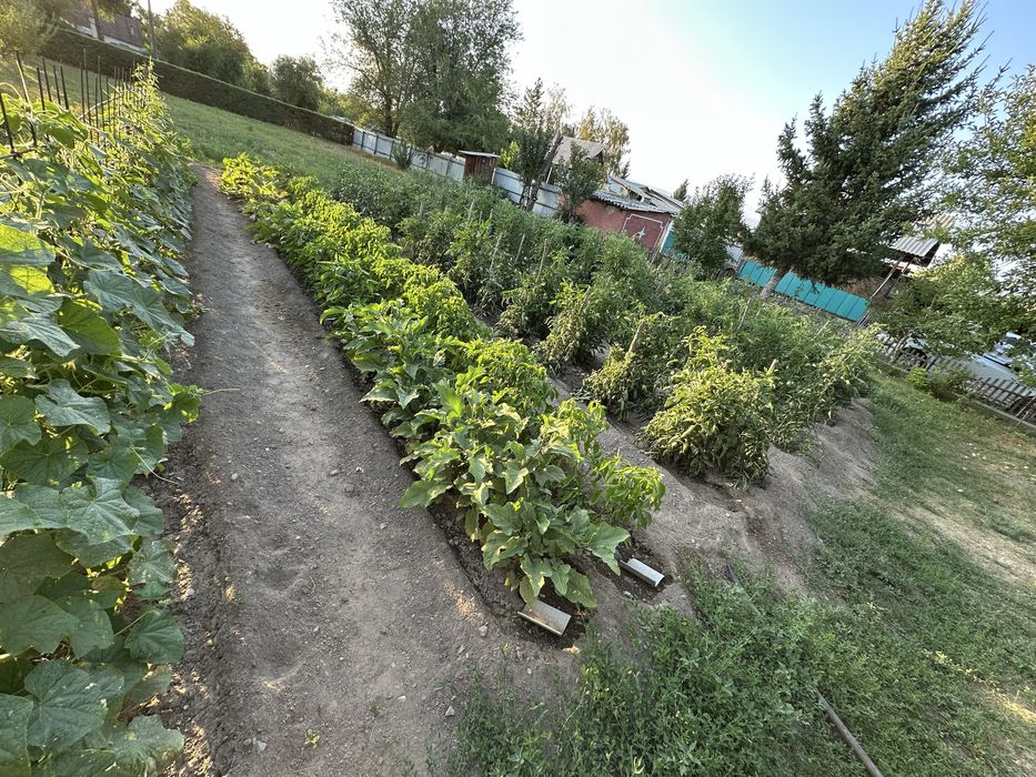 Продам дом с большим участком