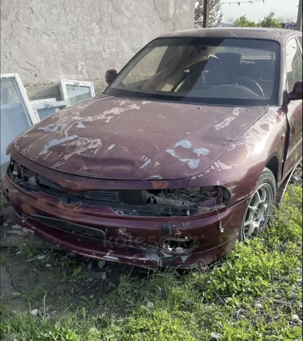 Галант дутый Разбор